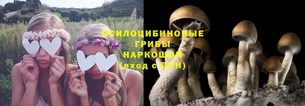 ALPHA-PVP Арсеньев