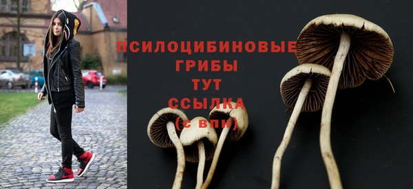 ALPHA PVP Аркадак