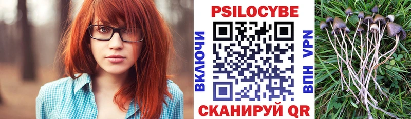 Галлюциногенные грибы мухоморы  darknet какой сайт  Хотьково  даркнет сайт 